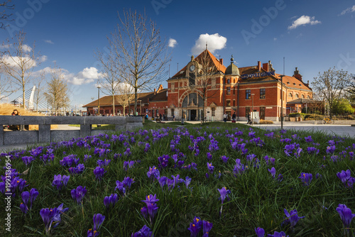 Tableau sur toile Scenic spring view of the historic Opole Główne railway station in Poland, featuring vibrant purple crocus flowers blooming in the foreground