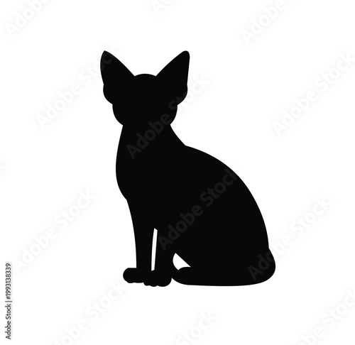 Photos Black cat silhouette sitting, vector illustration of a feline pet