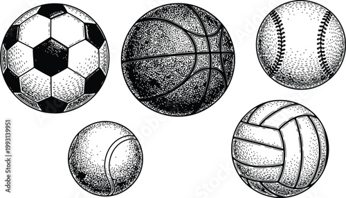 Collection of various hand-drawn sports balls on a white background