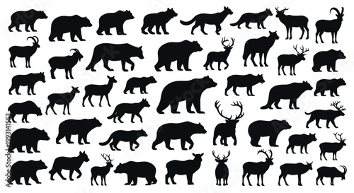 Collection of wild animal silhouettes in black and white.