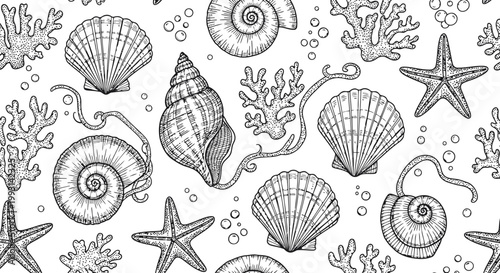 Detailed vintage diverse seashells and marine life scattered across a white background