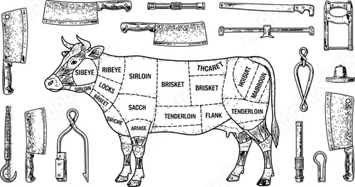 Diagram of beef cuts with butcher tools in a vintage engraving style for culinary use