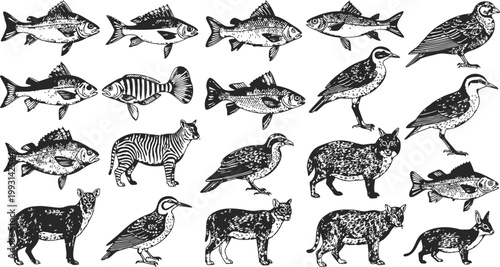Diverse Wildlife Collection in Vintage Engraving Style with Natural Textures