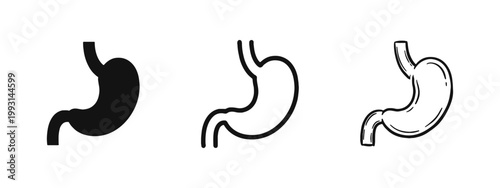 Human Stomach Anatomy Medical Icon for Digestive Health