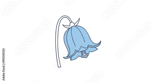 Minimalist bluebell flower vector illustration isolated on white background