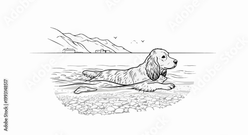 A dog swims in clear water with a rocky shore and distant hills