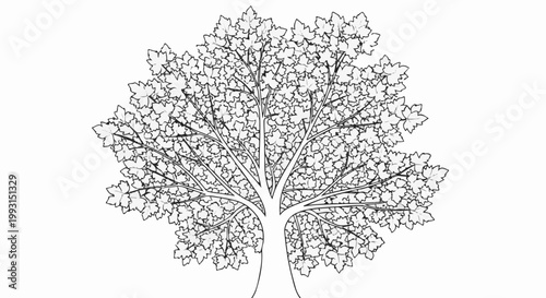 Stylized black and white illustration of a deciduous tree with full foliage
