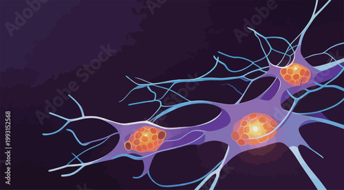 Illustration of Nerve Cells and Neurons