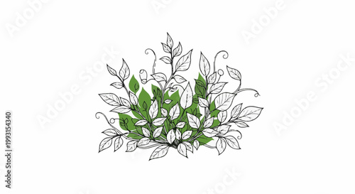 Delicate line drawing of a leafy plant with green accents