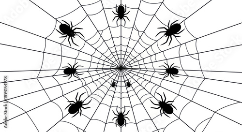 Spiders on a web