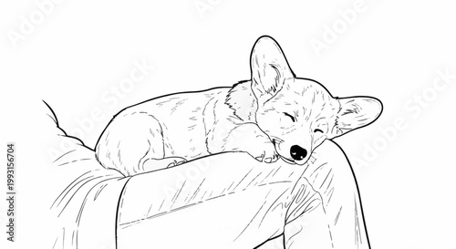 Line art drawing of a sleepy corgi puppy resting on a person's lap