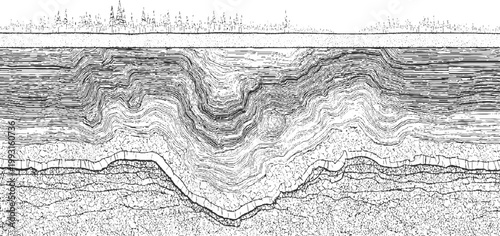 Cross section of folded rock strata with trees and ground surface above geology layers