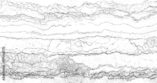 Abstract black and white line texture resembling cracked earth or geological strata