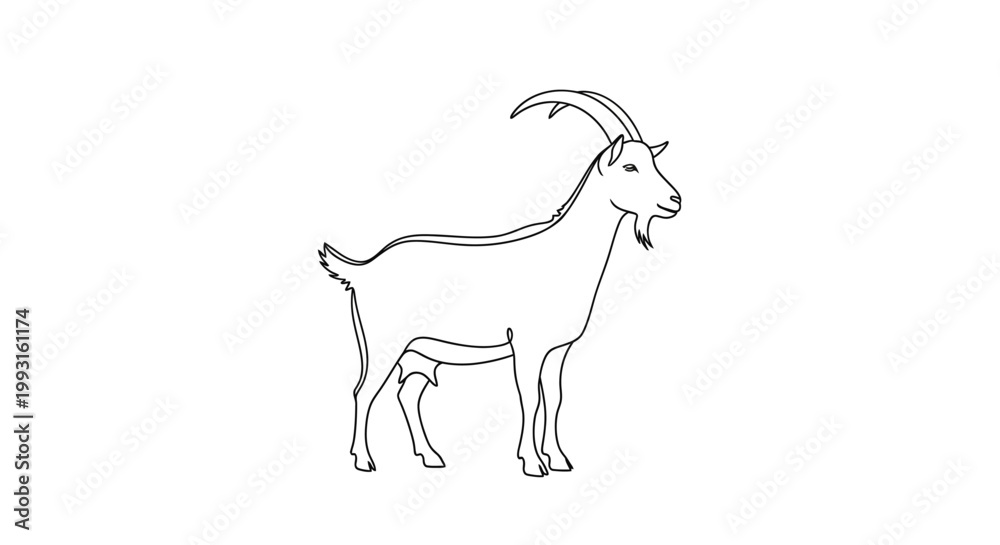 Fototapeta premium Simple Line Art Drawing of a Goat Standing on White Background