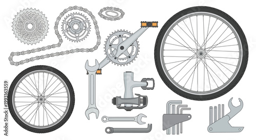 Exploded view of bicycle components including wheels chain and drivetrain