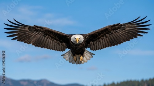 Bald eagle flying directly toward the camera with wings wide, powerful wildlife action shot with sharp feathers and intense gaze, clear sky background, realistic photography, no logos
