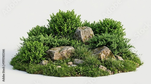 Green shrubs with rocks on a grassy base isolated on a clean background, dense foliage, earthy stone texture and fresh natural detail, balanced outdoor composition in bright daylight, ultra-realistic,