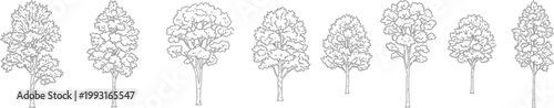 Set of eight minimalist hand drawn vector tree sketches in architectural line art style for landscape design and urban planning illustrations