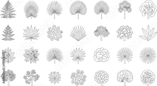 Set of Hand Drawn Botanical Tree and Tropical Palm Leaf Vector Icons for Architectural Landscape Design Projects
