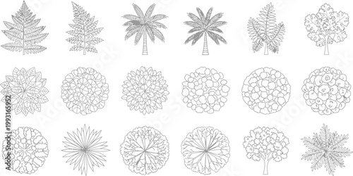 Set of Hand Drawn Architectural Tree and Plant Symbols for Landscape Design Plans and Top View Site Maps