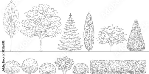 Set of Hand Drawn Vector Trees and Garden Shrubs for Architectural Landscape Design and Professional Site Planning Illustrations