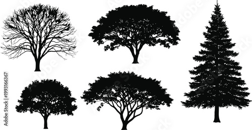 Set of Five Detailed Black Tree Silhouettes Featuring Deciduous Foliage and Coniferous Pine Shapes for Graphic Design Projects