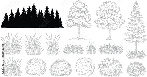 Collection of Hand Drawn Forest Elements Including Pine Tree Silhouettes Deciduous Trees Grass Tufts and Garden Shrubbery Vector Set