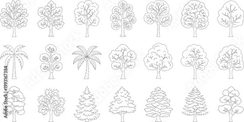 Set of Hand Drawn Tree Silhouettes and Outline Icons for Landscape Design and Architectural Sketching Projects Isolated on White