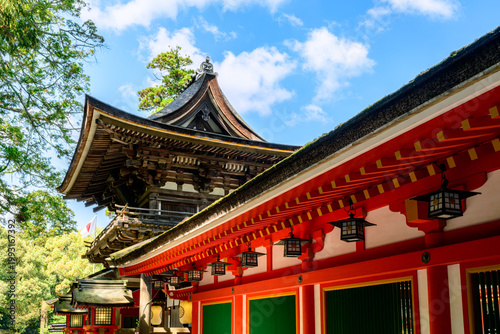 【奈良県】天理市 石上神宮 (2026/04/02撮影)