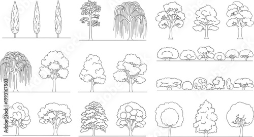 Set of Hand Drawn Architectural Tree Silhouettes and Landscape Elements for Garden Design and Urban Planning Vector Illustration