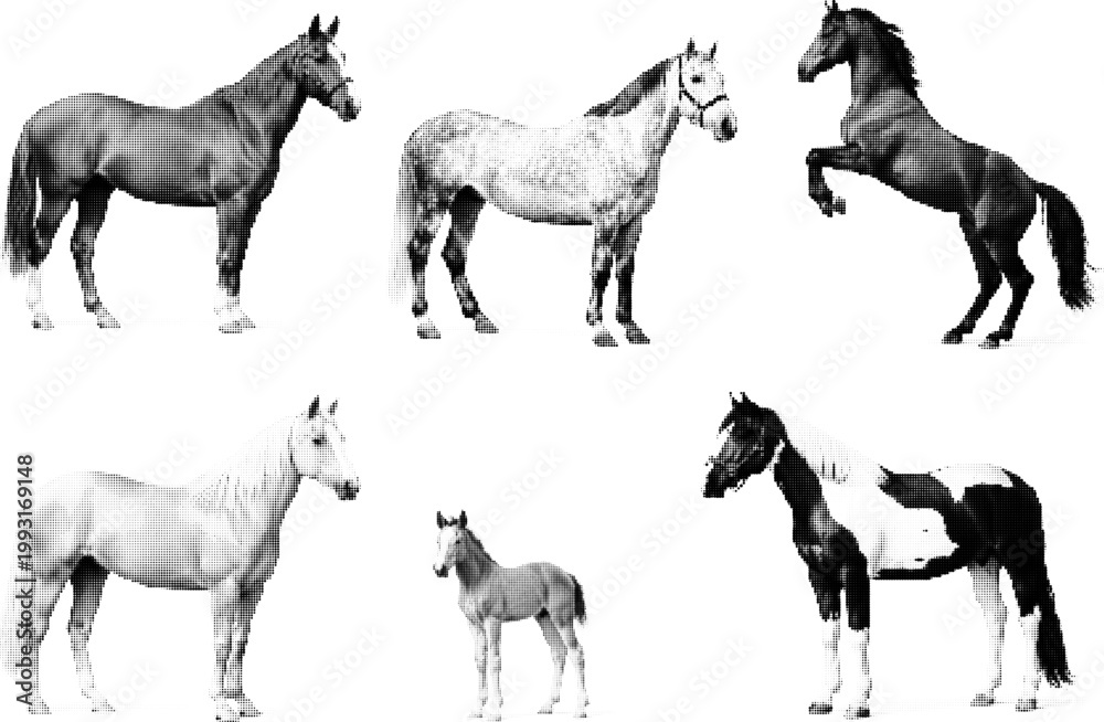 Fototapeta premium Halftone vector dotted retro grunge horses in various poses