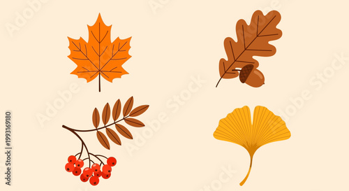 Autumn leaf and berry collection design elements for seasonal lifestyle marketing and corporate digital business projects