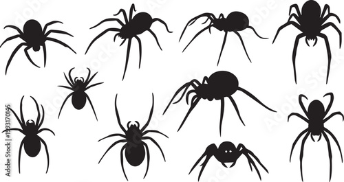 Black Spider Silhouettes and Arachnid Vector Icon Set