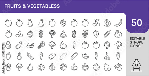 High-detail woodcut-style engraving of a tarantula featuring intricate patterns for scientific media.