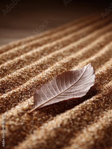 Zen garden meditation walk with single brown leaf resting on raked sand, creating peaceful and tranquil atmosphere for mindfulness and relaxation in nature