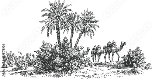 Camel caravan traveling through desert oasis with palm trees and desert vegetation sketch