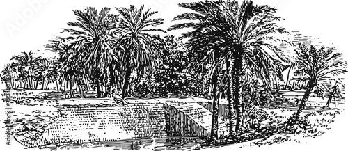 Vintage illustration of a desert oasis with palm trees near a water reservoir surrounded by sandy terrain