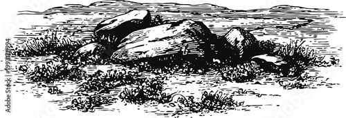 Rough rocky terrain with scattered large stones and low vegetation in vintage engraving