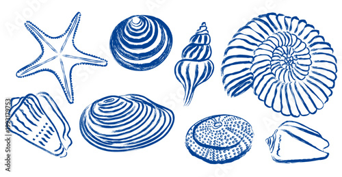 abstract set of shells, mussel, sea urchin and starfish. Vector illustration. Isolated on a white background. Mediterranean in Hand drawn Vintage Sketch Ocean Blue Background.