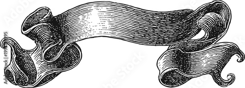 vintage scroll banner antique ornamental ribbon with detailed engraving decorative curved ribbon element for design