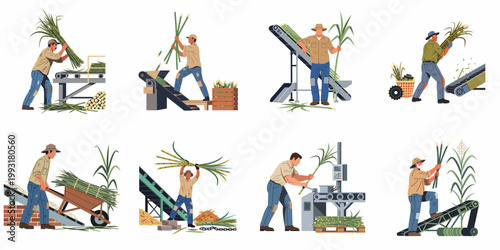 Vector illustrations of agricultural workers harvesting and processing sugarcane using various machines and tools on a white background.