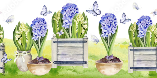 spring hyacinths in textured wooden tray and ceramic flower pot on fresh green grass, flying butterflies, hand drawn watercolor Easter illustration of primroses bouquet, seamless board for decoration