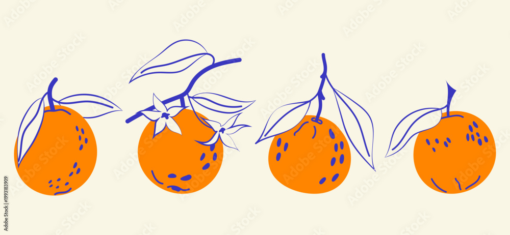 Fototapeta premium Set fresh oranges on a branch with leaves. Fresh tropical fruit. Natural citrus illustration for packaging, food branding and organic products.