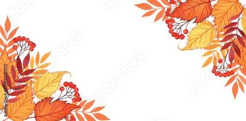 Autumn leaves and flowers border frame with orange yellow and red hues on white background