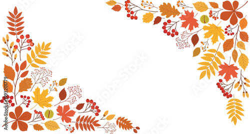 Autumn leaves border frame with colorful foliage on white background