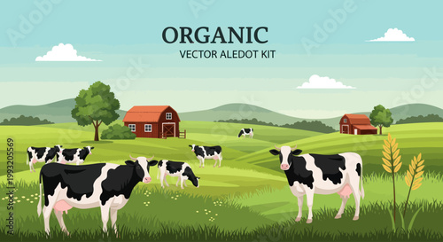 Cows grazing in green field freely.