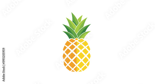 Fresh Pineapple Fruit Isolated Closeup.