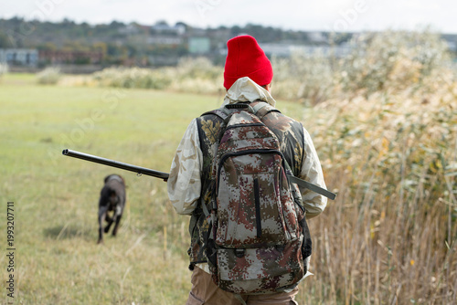 A hunter with his dogs, a spaniel and a german pointer, walk along the reeds in search of a pheasant.