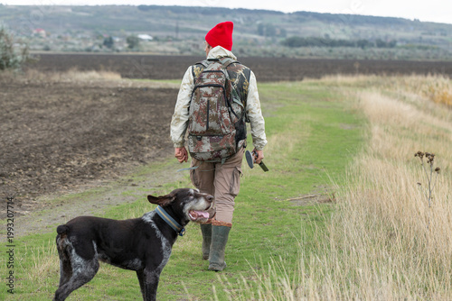 A hunter with his dogs, a spaniel and a german pointer, walk along the reeds in search of a pheasant.