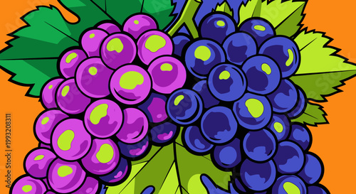 Close up illustration of two bunches of grapes with green leaves against a vibrant orange background